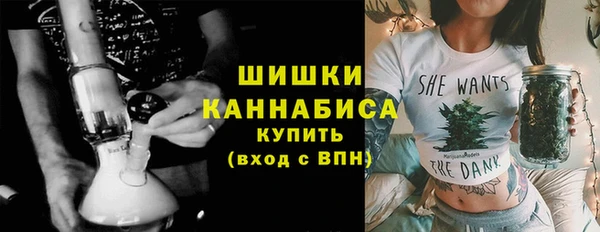 шишки Корсаков