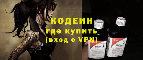 шишки Корсаков