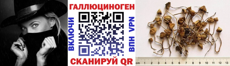Купить  Кубинка  Галлюциногенные грибы Magic Shrooms 